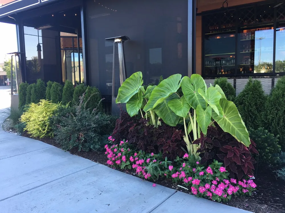 Local residential landscaping experts serving Greenville, SC - Green Impact