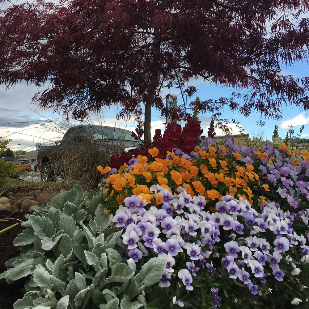 Top-rated lawn mowing service for year-round maintenance across Greenville, SC - Green Impact