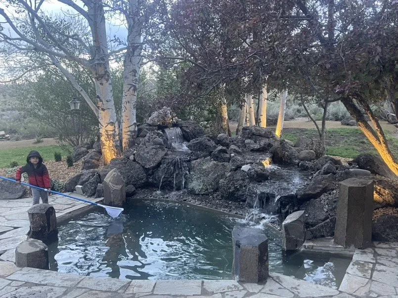 Affordable landscape design in Bend, OR - Green Innovation