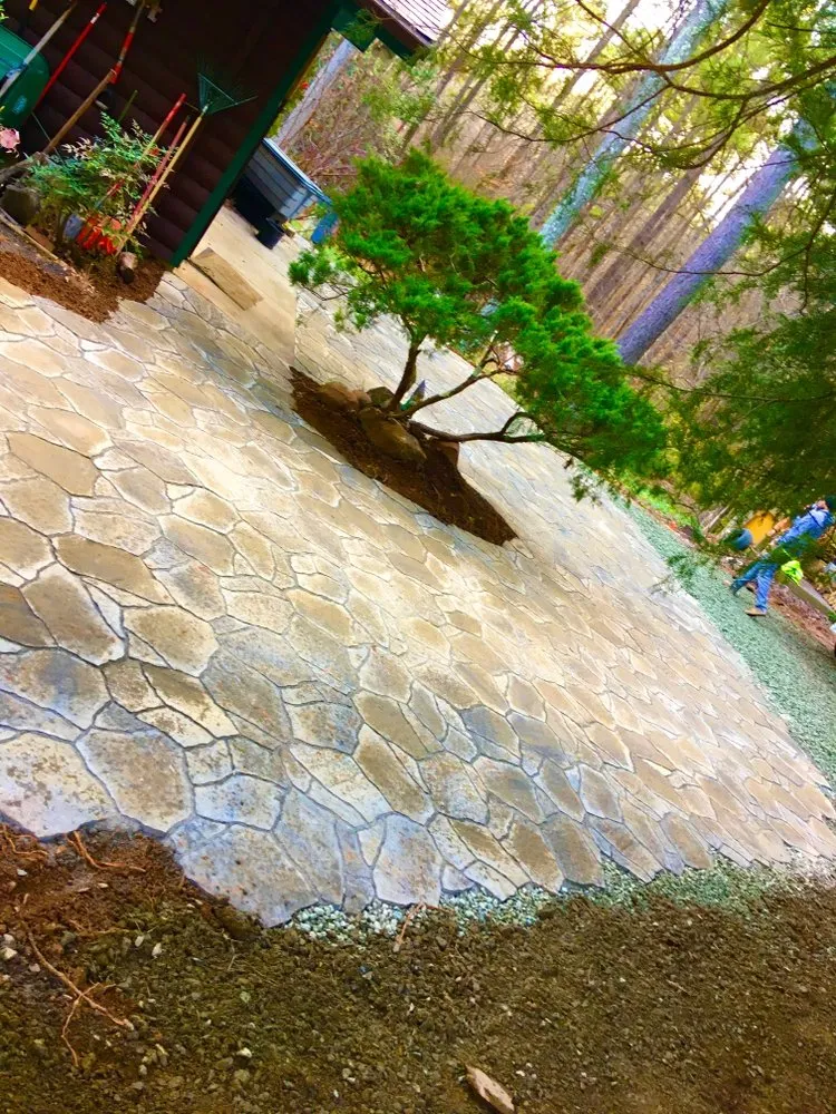 Expert landscape installation for beautiful yards across Whitsett, NC - Green Innovations