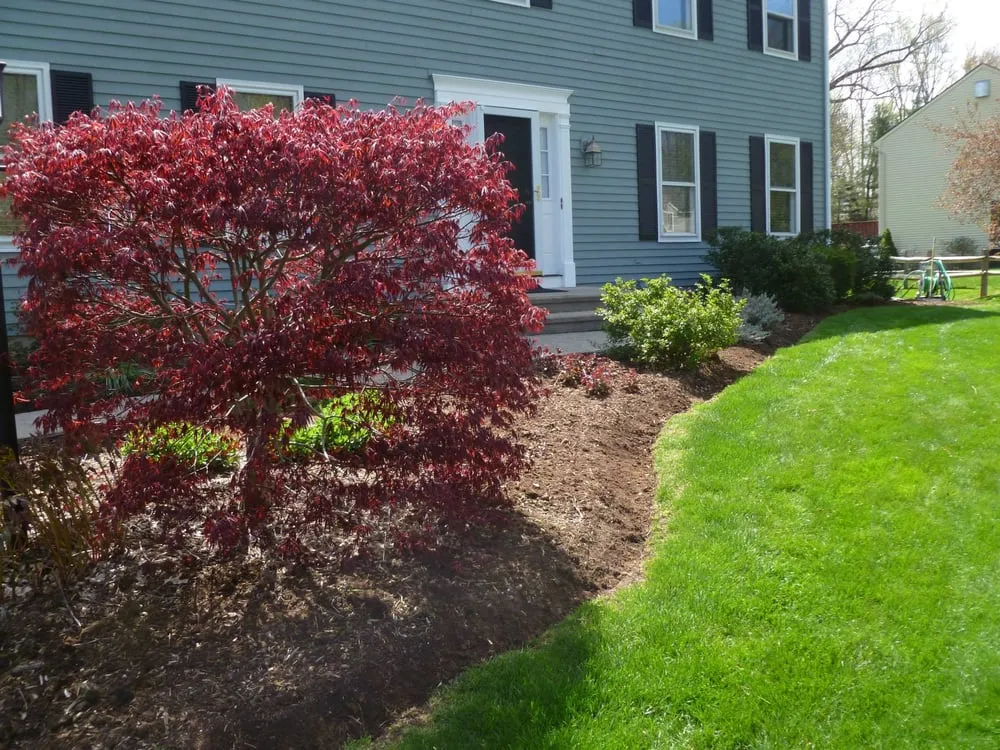Local landscaping services in Wallingford, CT by Green is Better Lawn Care