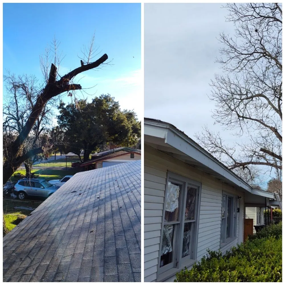 Reliable outdoor landscaping in San Antonio, TX - Green is Good