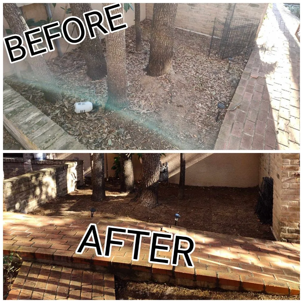 Top-rated residential landscaping in San Antonio, TX by Green is Good