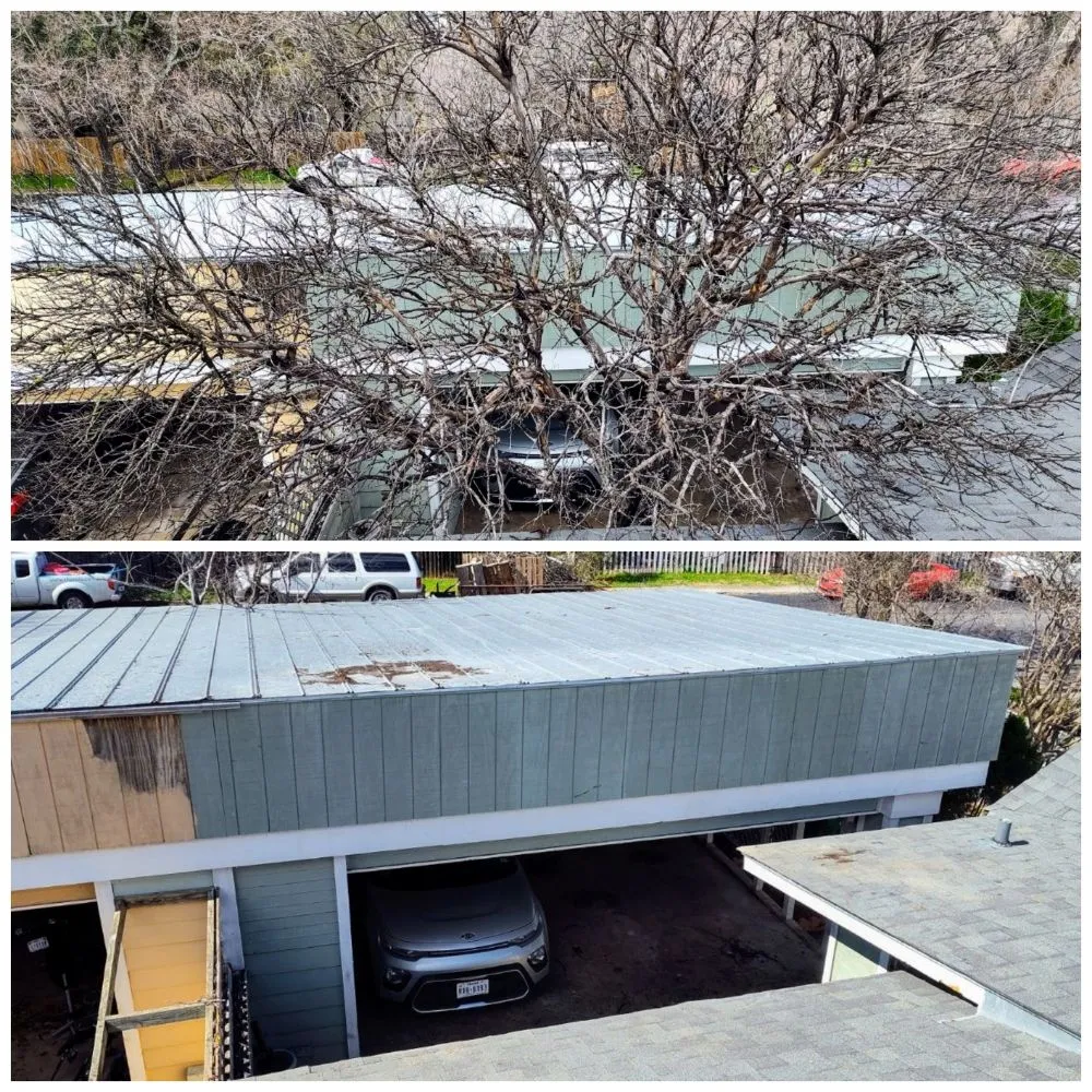 Affordable garden landscaping for homes in San Antonio, TX by Green is Good