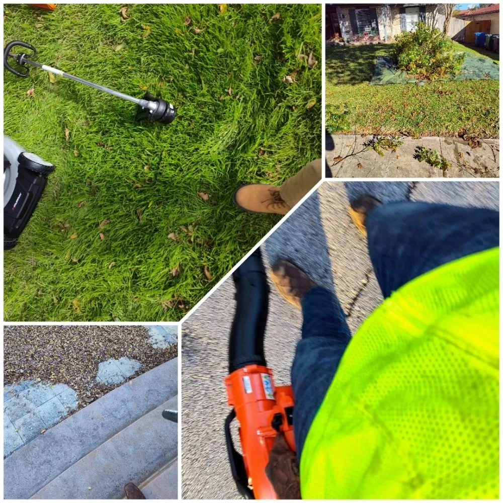 Expert landscape design experts serving San Antonio, TX - Green is Good