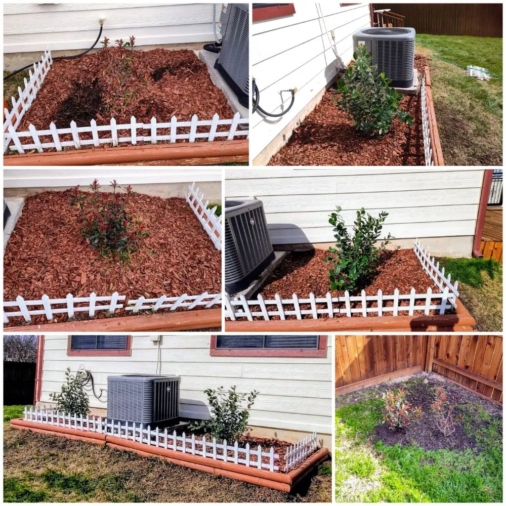 Affordable yard cleanup service for year-round maintenance across San Antonio, TX - Green is Good