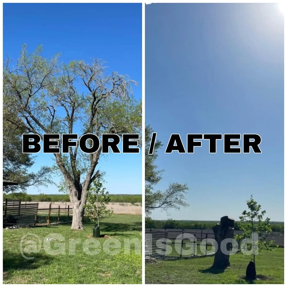 Top-rated landscape installation experts serving San Antonio, TX - Green is Good