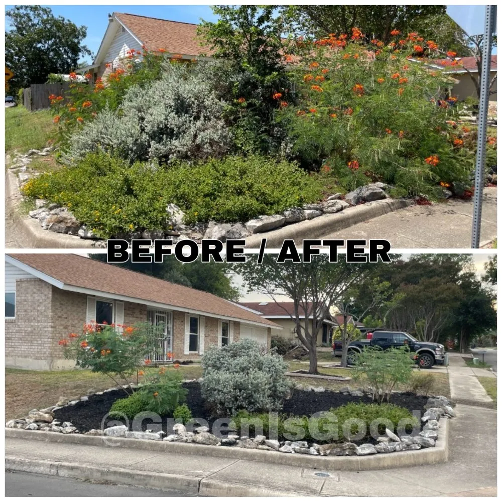 Professional yard maintenance in San Antonio, TX by Green is Good