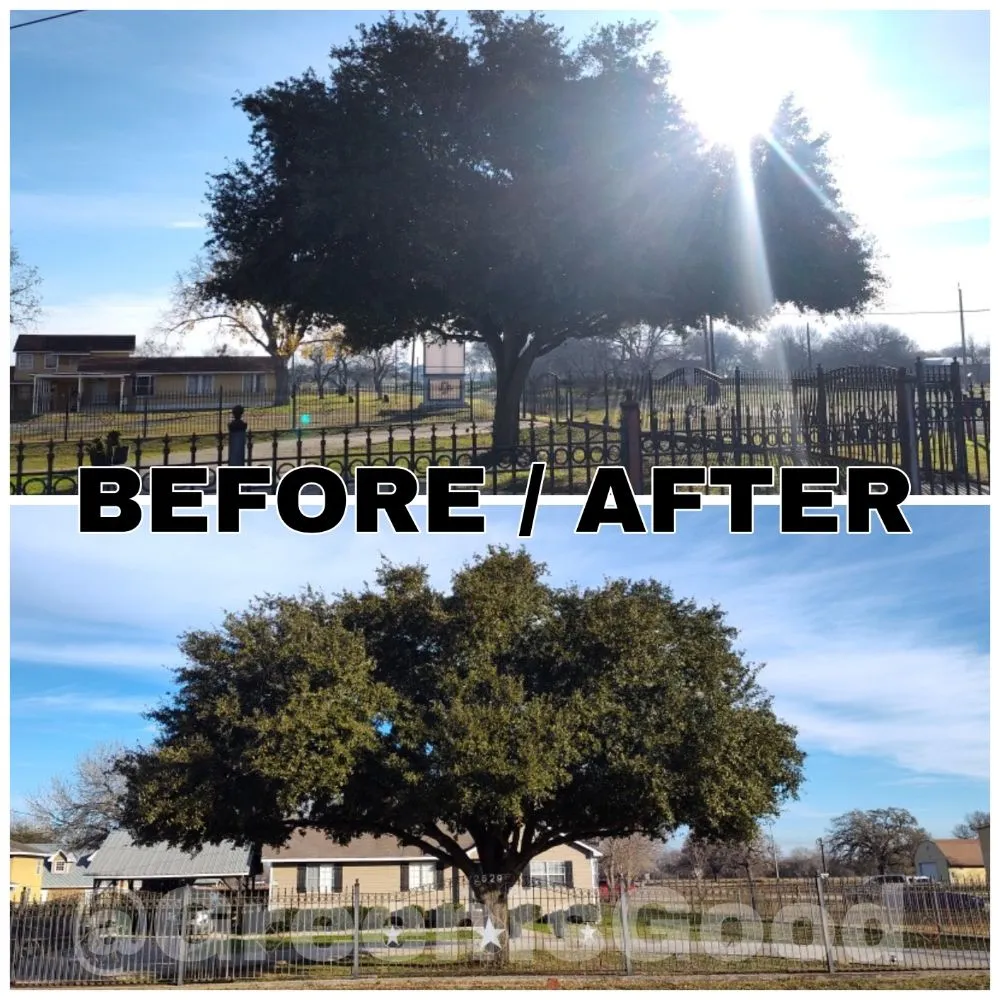 Local garden landscaping for residential properties across San Antonio, TX - Green is Good