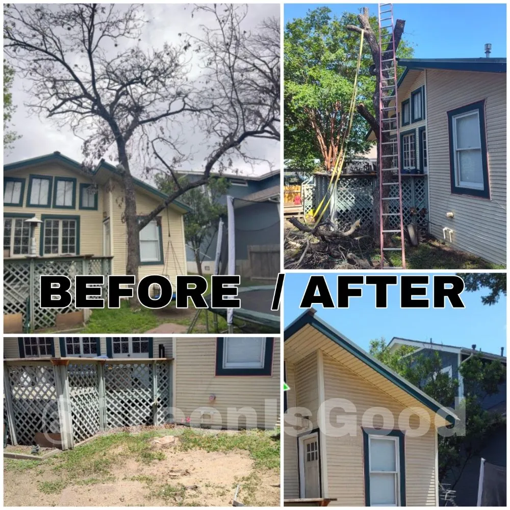 Expert yard maintenance in San Antonio, TX by Green is Good