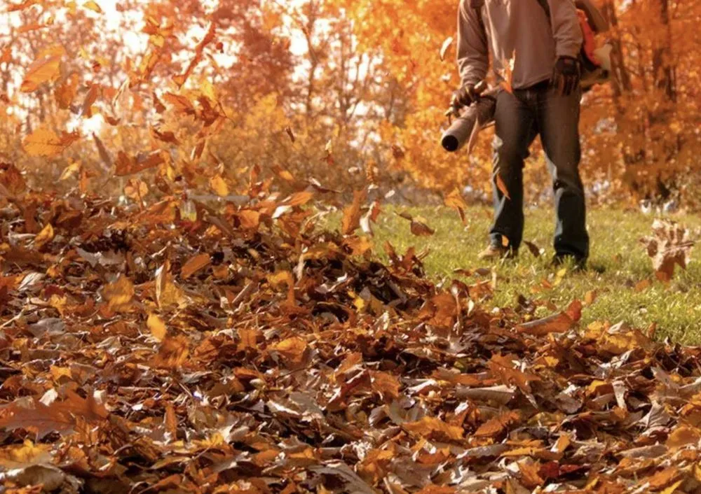 Custom yard cleanup service in Martinsburg, WV - Green Is Great Lawn Care