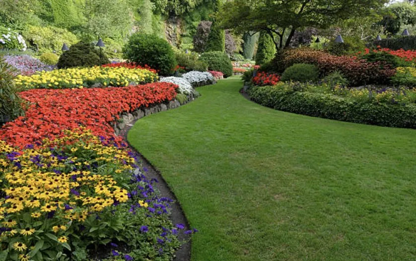 Top-rated lawn mowing service in Martinsburg, WV by Green Is Great Lawn Care