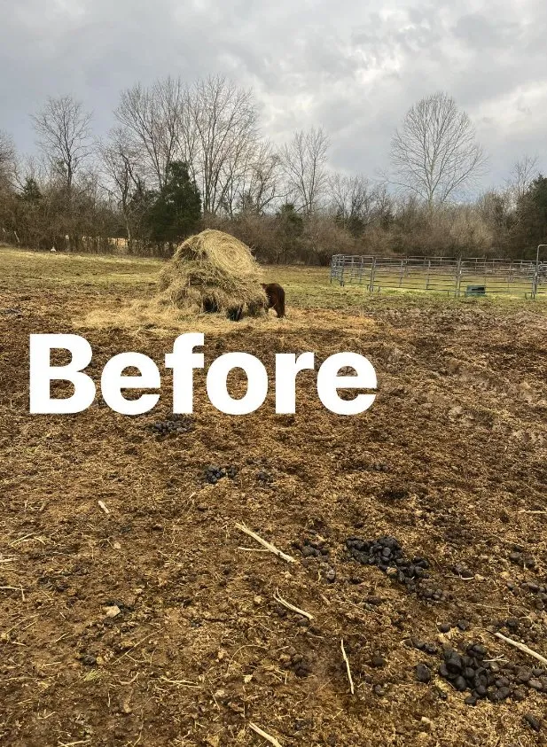 Expert landscaping services experts serving Martinsburg, WV - Green Is Great Lawn Care