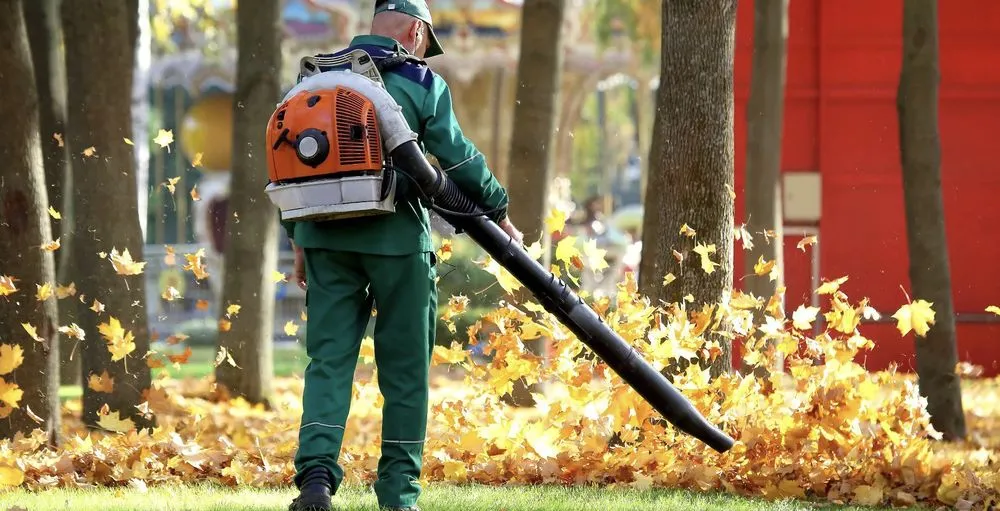 Custom residential landscaping for year-round maintenance in Martinsburg, WV by Green Is Great Lawn Care