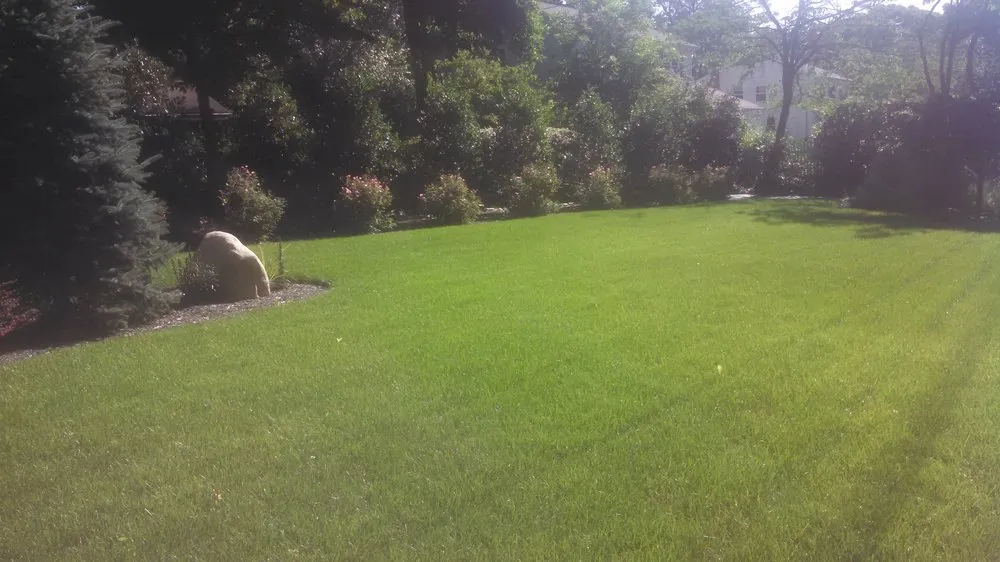 Affordable yard cleanup service experts serving Setauket East Setauket, NY - Green is the Color Lawn Care