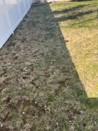 Custom landscaping services for residential properties in Setauket East Setauket, NY by Green is the Color Lawn Care