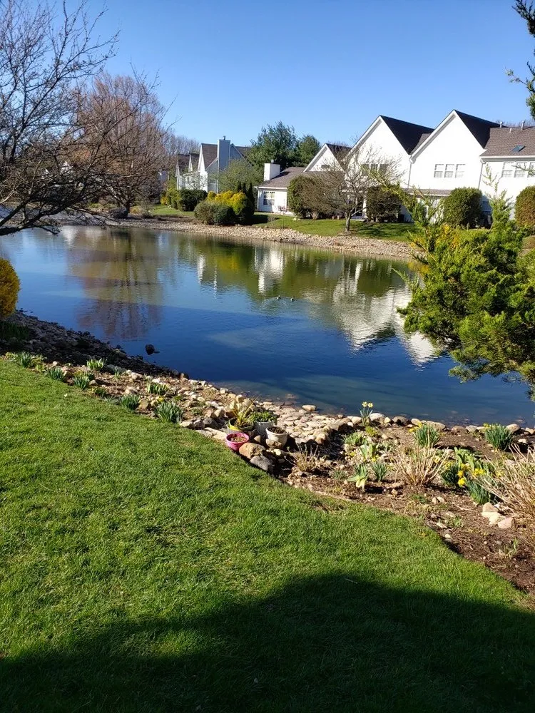 Professional garden landscaping in Setauket East Setauket, NY by Green is the Color Lawn Care