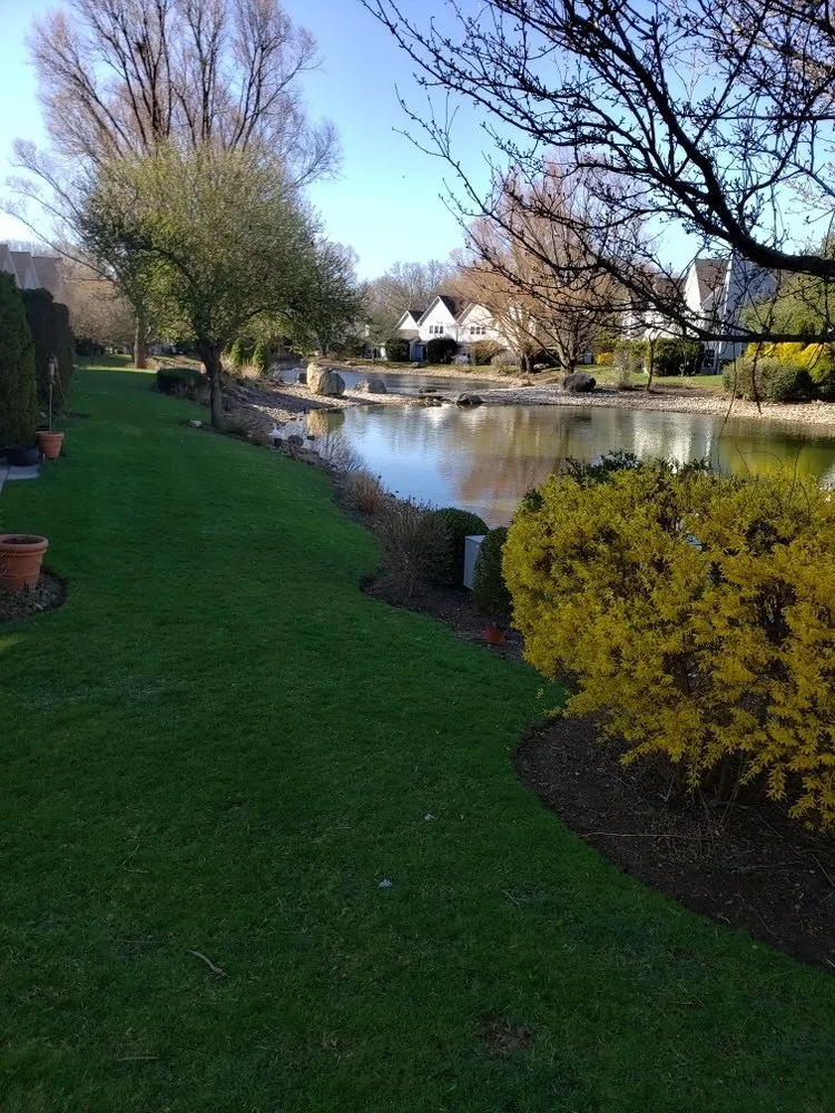 Trusted yard maintenance for residential properties across Setauket East Setauket, NY - Green is the Color Lawn Care