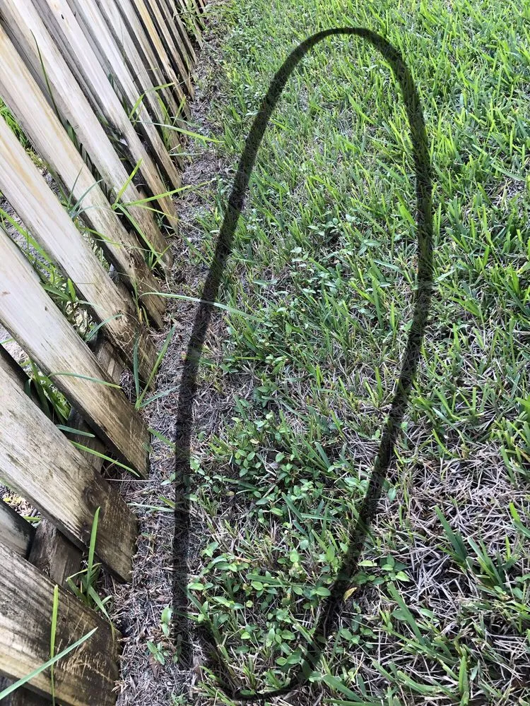 Reliable landscaping services experts serving Vero Beach, FL - Green Island Lawn & Pest