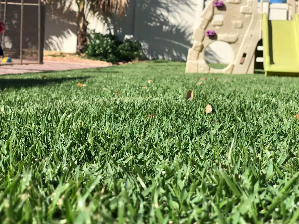 Trusted yard cleanup service for outdoor upgrades in Vero Beach, FL by Green Island Lawn & Pest