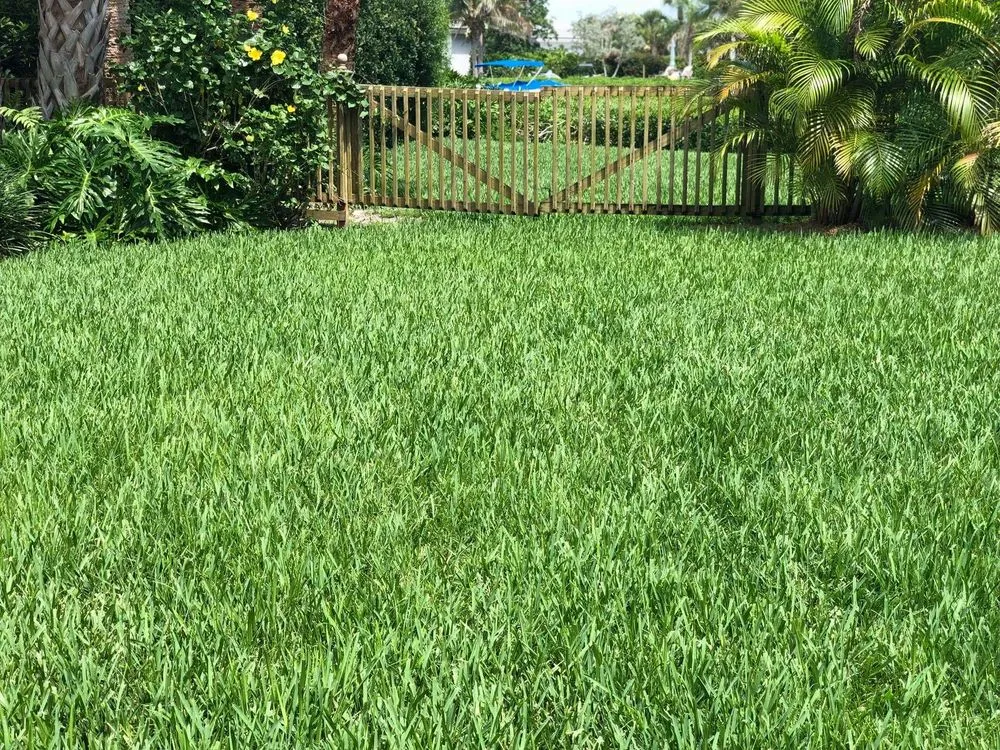 Reliable landscaping services for residential properties in Vero Beach, FL by Green Island Lawn & Pest