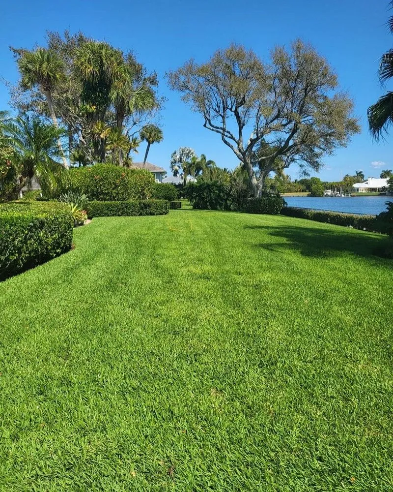 Trusted outdoor landscaping in Vero Beach, FL by Green Island Lawn & Pest