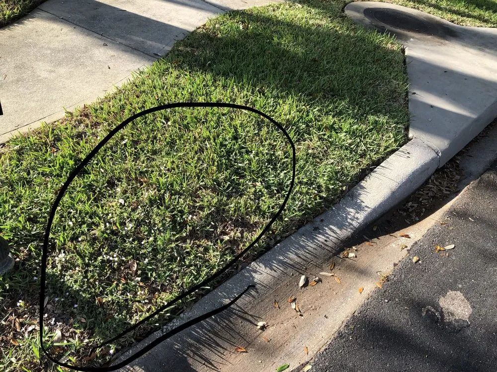 Reliable yard cleanup service for homes in Vero Beach, FL by Green Island Lawn & Pest