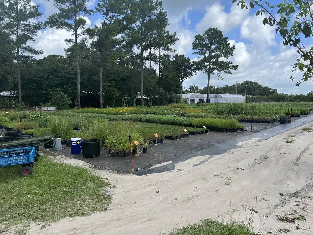 Custom yard maintenance in Groveland, FL - Green Isle Gardens