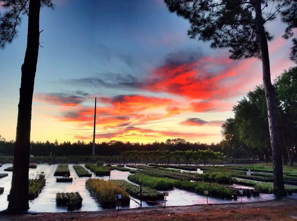 Trusted landscape design for beautiful yards across Groveland, FL - Green Isle Gardens