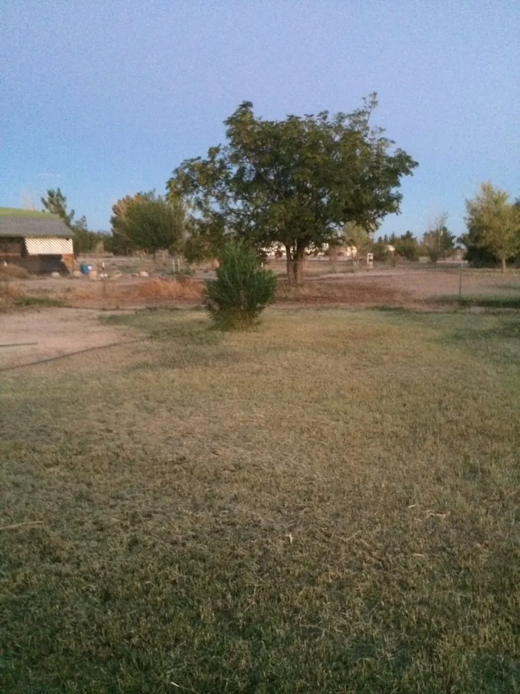 Expert landscape design in Pahrump, NV by Green it up landscaping & design