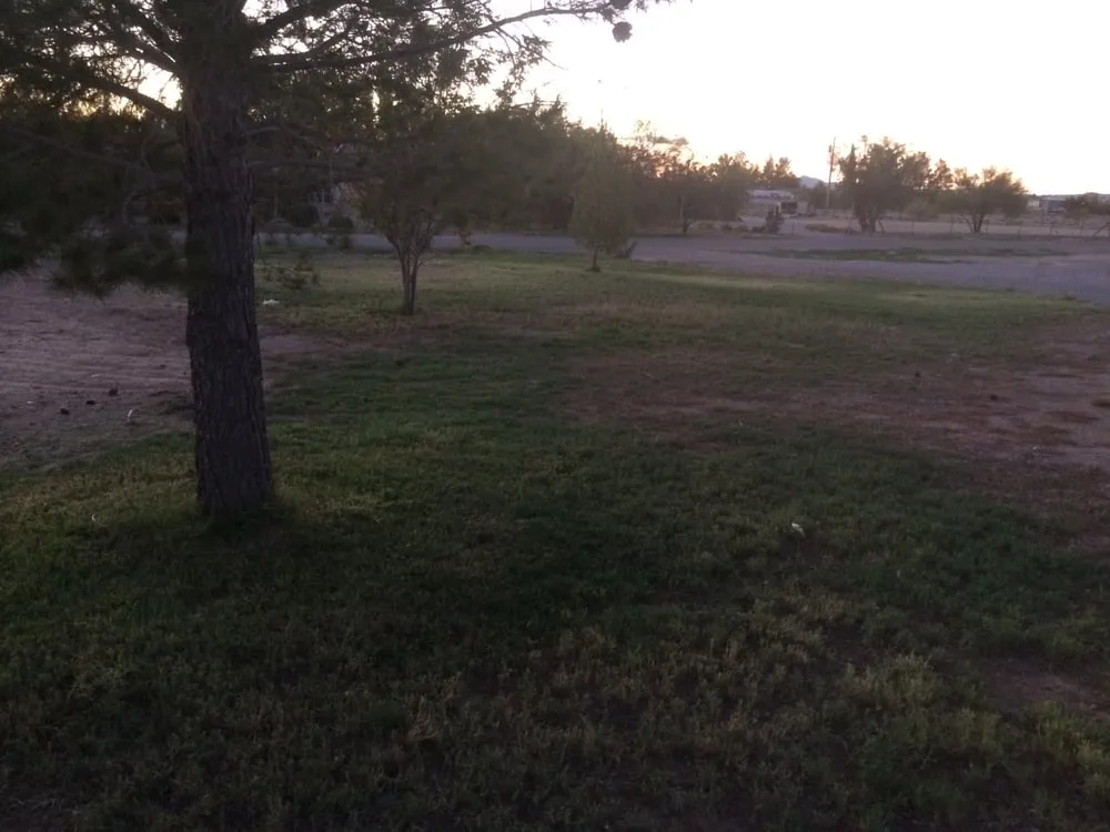 Affordable yard cleanup service for residential properties in Pahrump, NV by Green it up landscaping & design