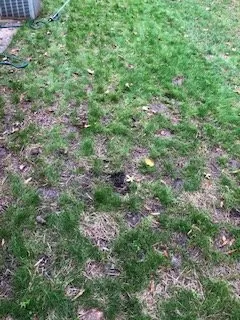 Professional outdoor landscaping in Huntersville, NC by Green It Up Yardscapes