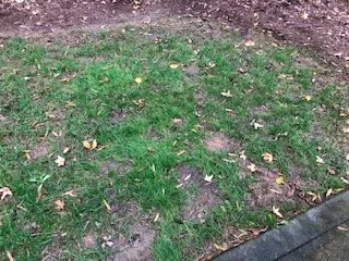 Top-rated lawn mowing service for residential properties in Huntersville, NC by Green It Up Yardscapes