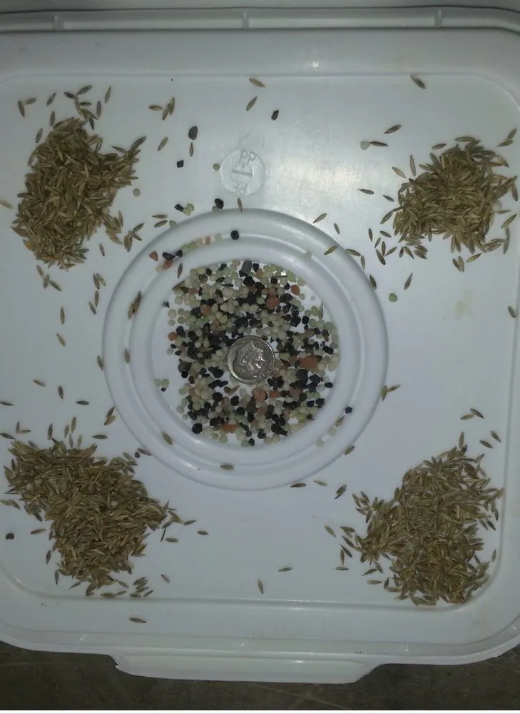 Affordable lawn mowing service experts serving Huntersville, NC - Green It Up Yardscapes