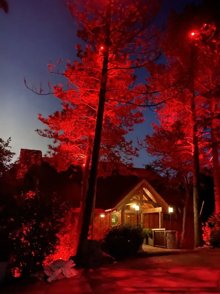 Custom yard maintenance in Ontario, CA - Green Ivy Maintenance