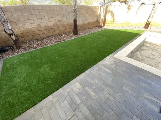 Green Ivy Maintenance