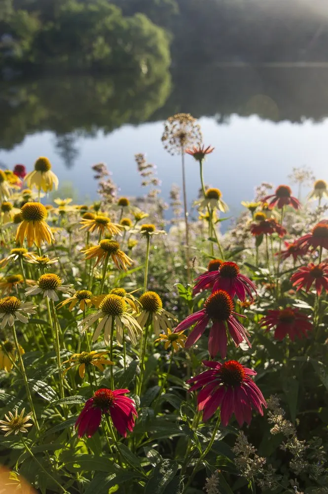 Professional landscaping services with custom design in Rye, NY by Green Jay Landscape Design