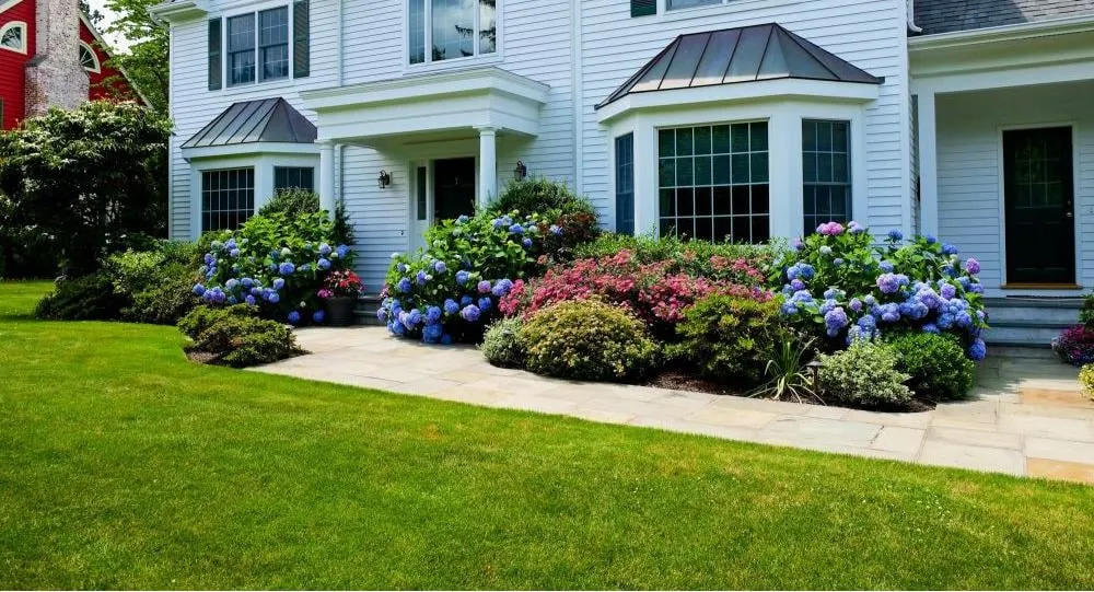 Local yard cleanup service in Rye, NY - Green Jay Landscape Design
