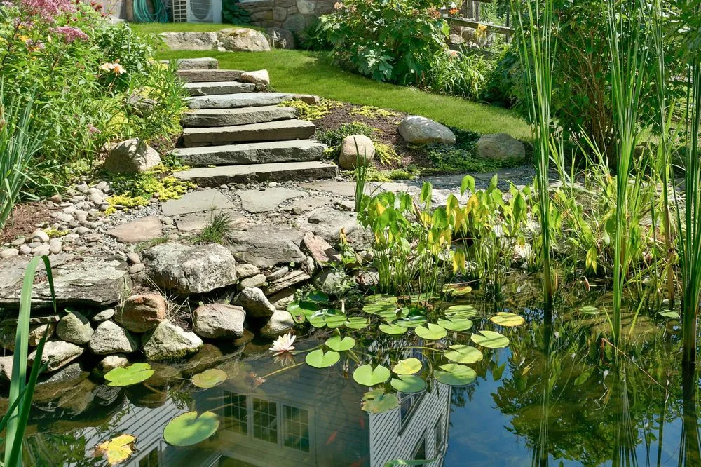 Affordable landscaping services for year-round maintenance across Rye, NY - Green Jay Landscape Design