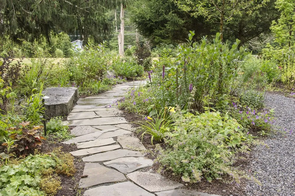 Professional yard cleanup service for outdoor upgrades across Rye, NY - Green Jay Landscape Design