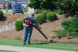 Affordable yard cleanup service for beautiful yards in Augusta, GA by Green Keeper Landscaping