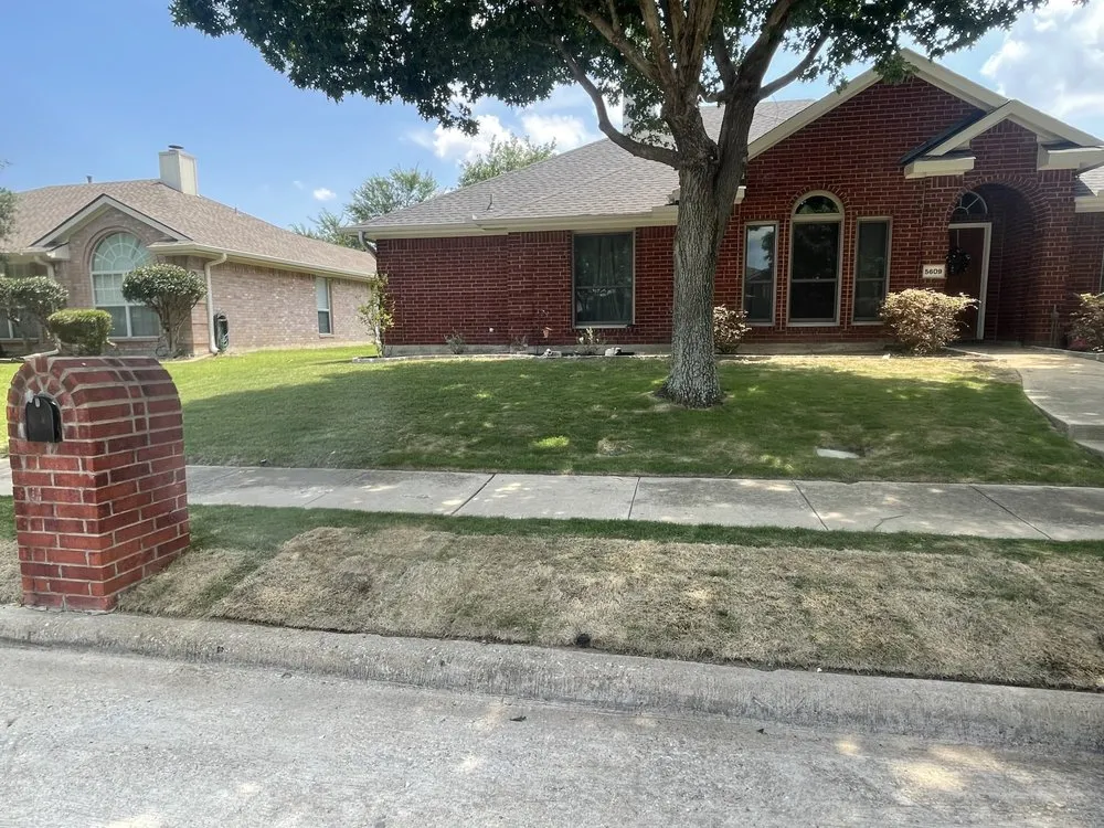 Expert landscape installation for year-round maintenance across Dallas, TX - Green King Lawn Care