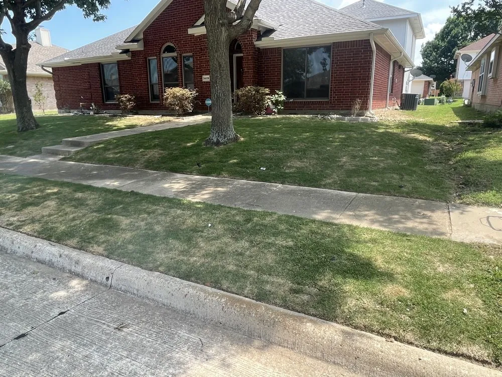 Top-rated yard maintenance experts serving Dallas, TX - Green King Lawn Care