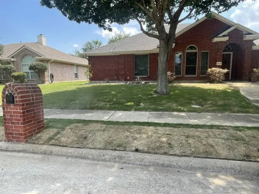 Green King Lawn Care Logo