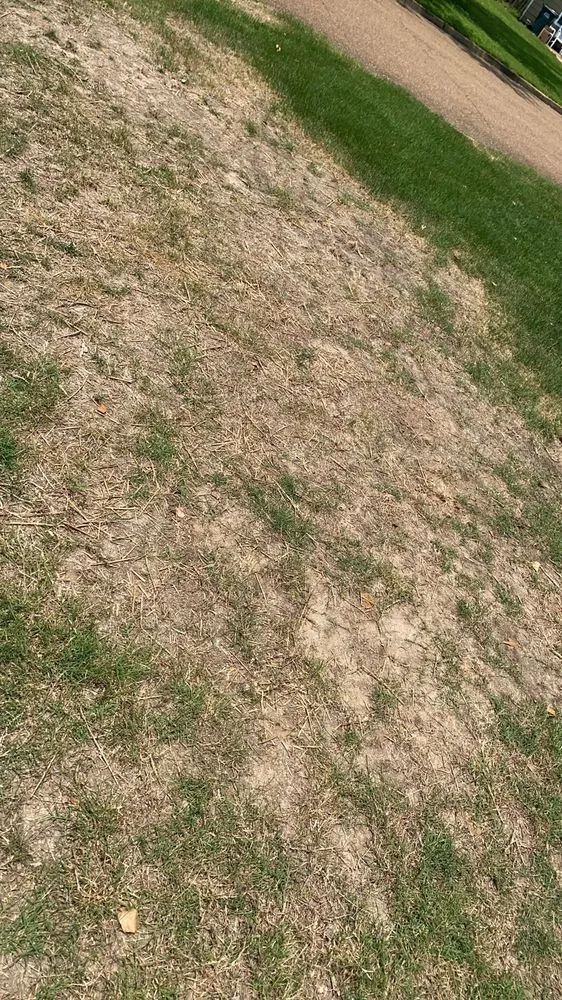 Custom landscape installation experts serving Olive Branch, MS - Green King Spray Services