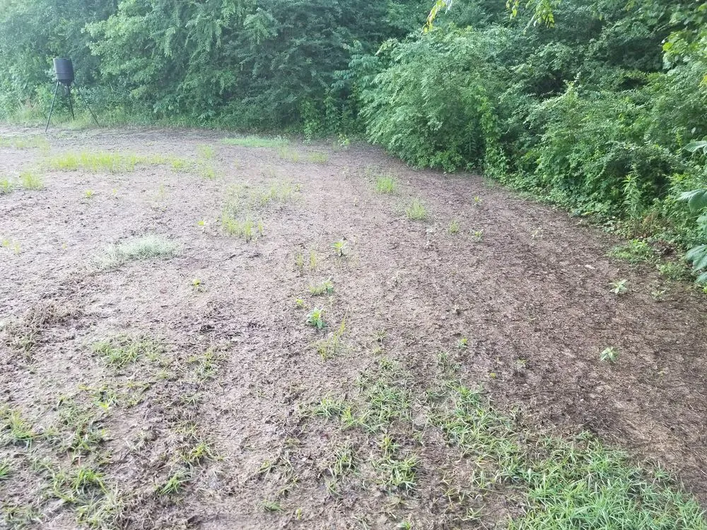 Top-rated garden landscaping for outdoor upgrades across Olive Branch, MS - Green King Spray Services