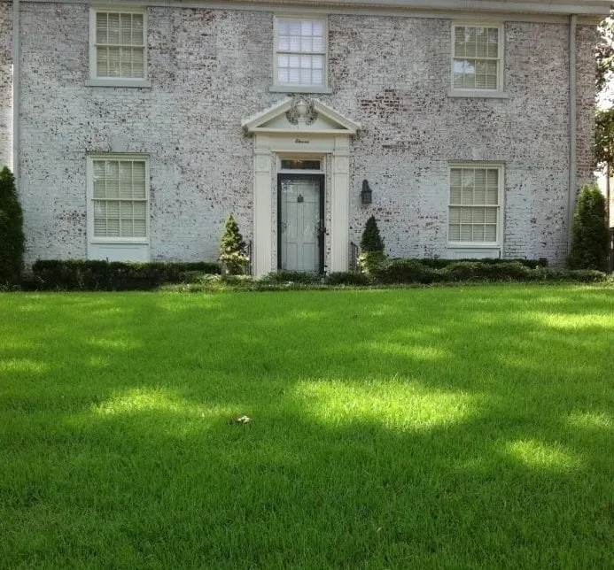 Local residential landscaping experts serving Olive Branch, MS - Green King Spray Services