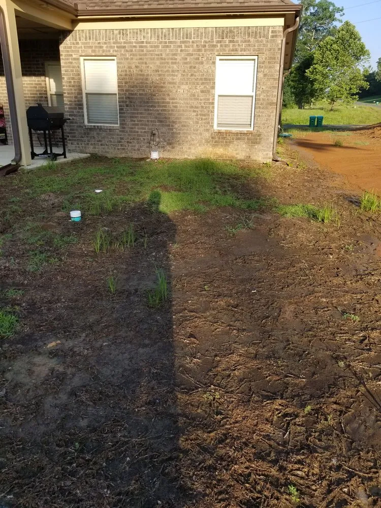 Local landscape design experts serving Olive Branch, MS - Green King Spray Services