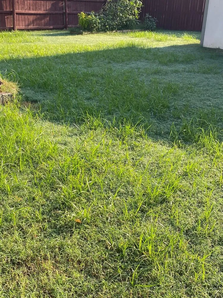 Local outdoor landscaping in Olive Branch, MS - Green King Spray Services