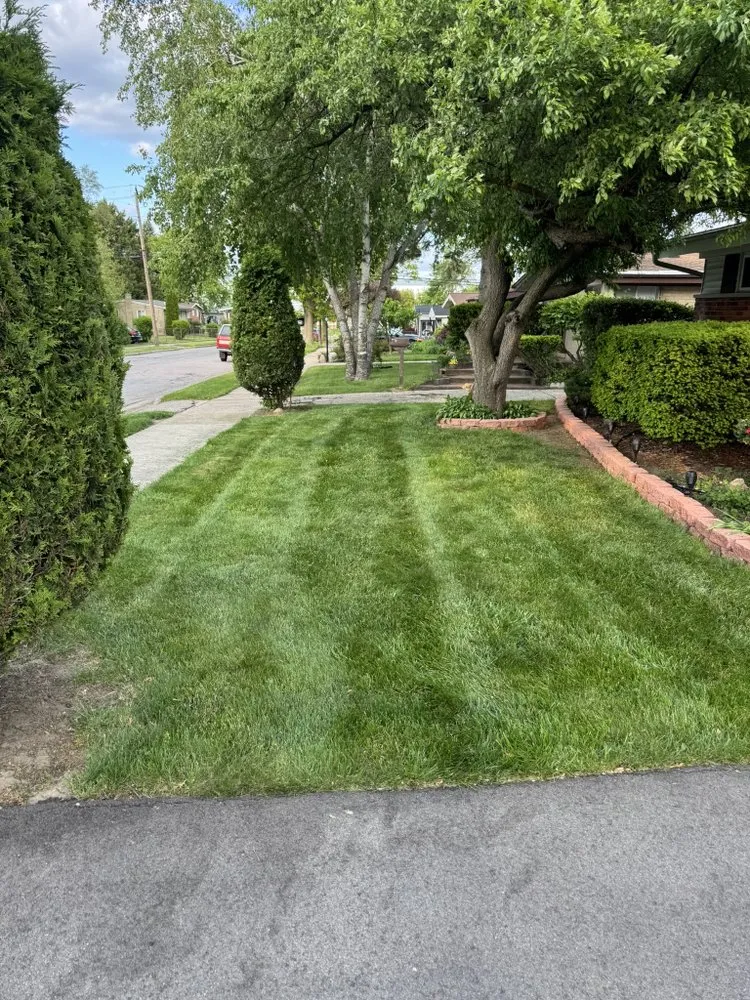 Affordable yard cleanup service in Pontiac, MI by Green Kingdom